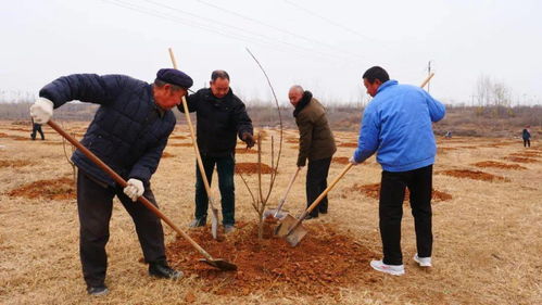 走,植树去