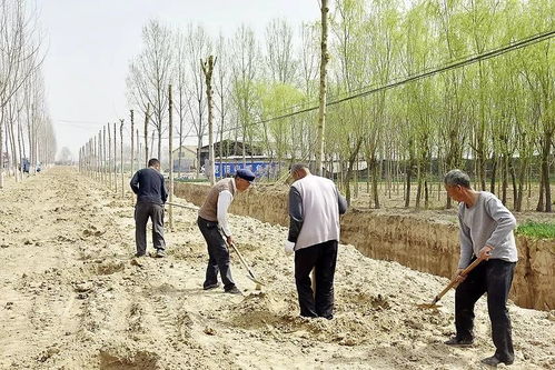 路长制 打造菏泽道路风景线