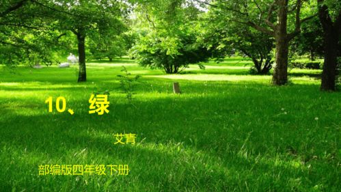 10.绿 共32张ppt