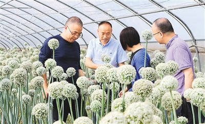 对口帮扶